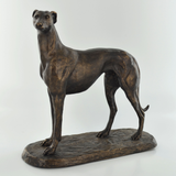 Gus Bronze Effect Resin Greyhound by Harriet Glenn 19cm 33851