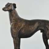 Gus Bronze Effect Resin Greyhound by Harriet Glenn 19cm 33851