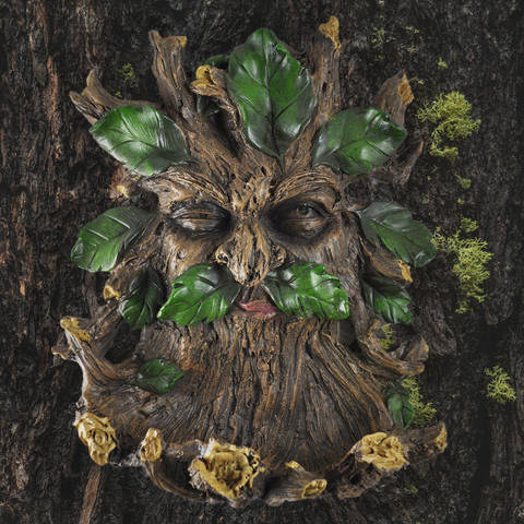 Tree Ent - Large Bird Feeder