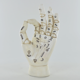 Palmistry Hand Standing Palm Reading Home Decor Spiritual Learning Gift Idea