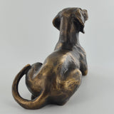 Weimaraner Bronze Effect Sculpture by Harriet Glen - Prezents.com