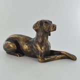 Weimaraner Bronze Effect Sculpture by Harriet Glen - Prezents.com