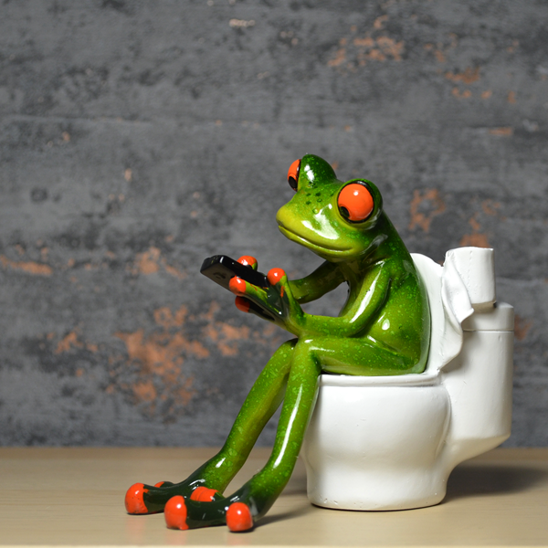 Comical Frogs - On A Bog