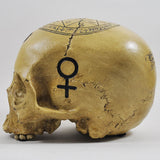 Witchcraft Skull - Prezents.com