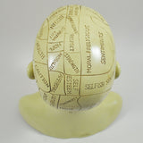 Phrenology Head Sculpture by Tina Tarrant - Prezents.com
