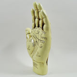 Palmistry Hand Sculpture - Prezents.com