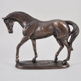 Nobility Bronze Horse Sculpture by Harriet Glen - Prezents.com