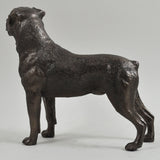 Rottweiler Cold Cast Bronze Sculpture - Prezents.com
