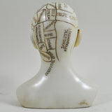 Phrenology Head Sculpture - Prezents.com