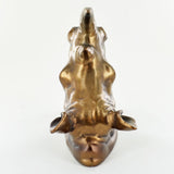 Rhino Head Bronze Coat Hook - Prezents.com