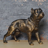 Pitbull Terrier Bronze Effect Sculpture - Prezents.com