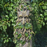 Tree Ent - Face Plaque XL - Prezents.com
