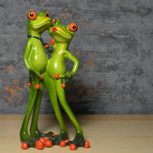 Comical Frogs - Couple Posing