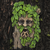 Tree Face Plaque - Merlin
